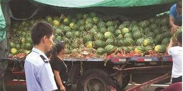 甘谷网红吃瓜事件真相揭秘,揭秘背后真相与争议 第3张 甘谷网红吃瓜事件真相揭秘,揭秘背后真相与争议 第3张