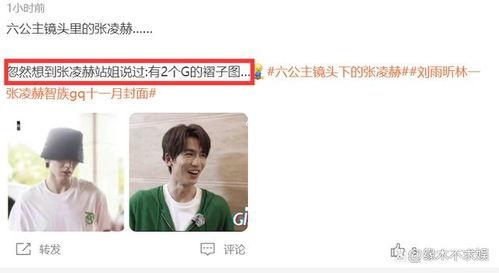 白鹿和张凌赫圈内爆料,揭秘娱乐圈背后的真实故事 第2张 白鹿和张凌赫圈内爆料,揭秘娱乐圈背后的真实故事 第2张
