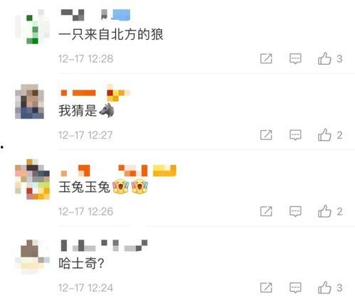 怎么找央视新闻爆料呢视频,一键掌握新闻线索 第3张 怎么找央视新闻爆料呢视频,一键掌握新闻线索 第3张